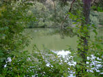 Rybníky v Bohuslavicích